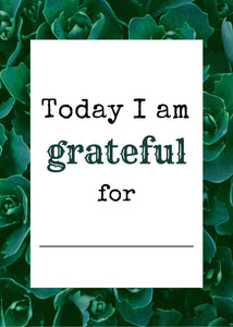Today I Am Grateful For ... Succulents Downloadable Print * Instant Whiteboard! *
